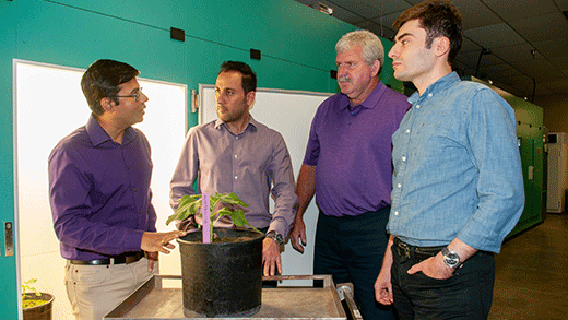 Four men standing in lab, discussing sap flow in plant stem