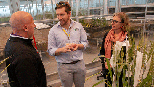 Wheat Innovation Center, visit from Australian trade group