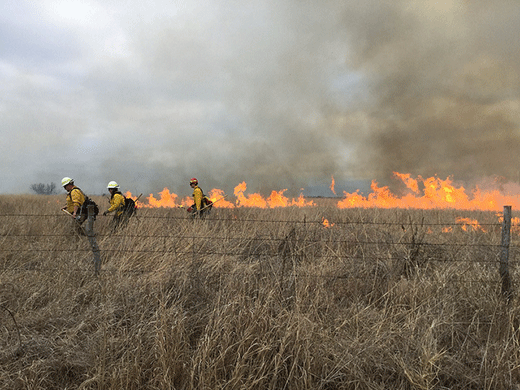 Wildland Fire Mitigation, two firemen in burning field