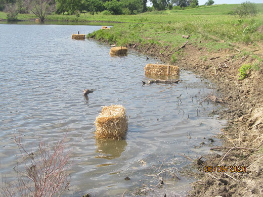 Straw bales set along edge of farm pond