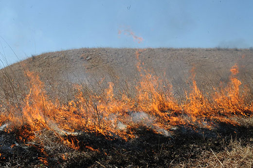 Controlled fire on Kansas prairie