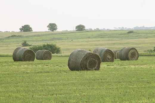 Round bales sitting in open Kansas farm field