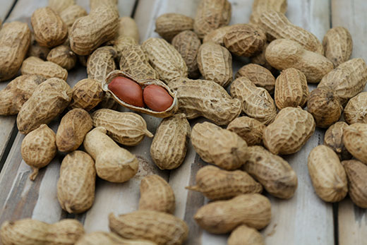 Peanuts in shells laid out on counter Peanuts in shells laid out on counter