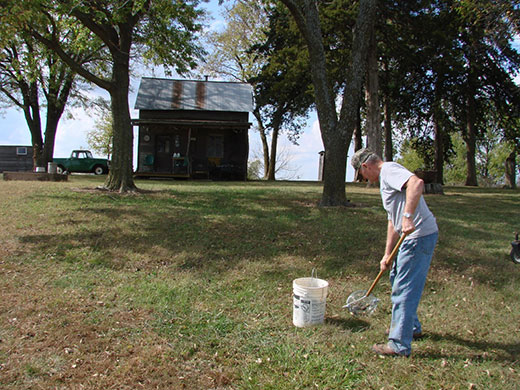 Man using tool to collect black walnuts from the ground Man using tool to collect black walnuts from the ground