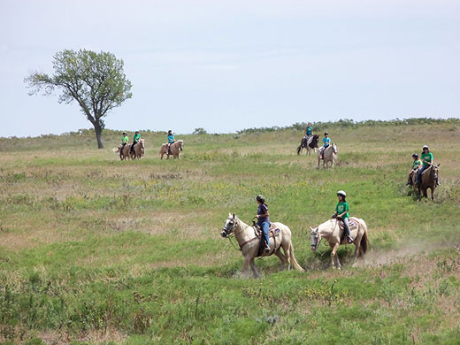 Youth riding Palomino horses at Rock Springs 4-H Center