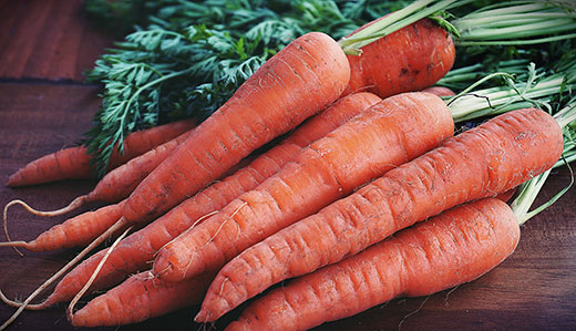 closeup of 10 carrots laying on a table