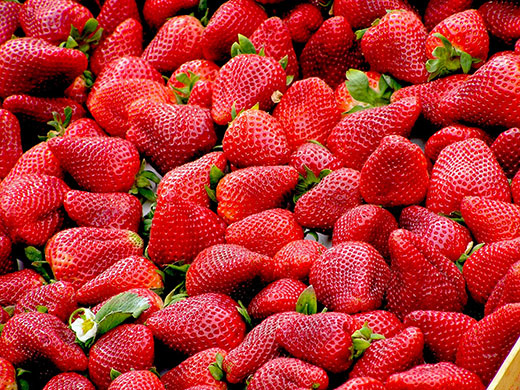bright red strawberries bright red strawberries
