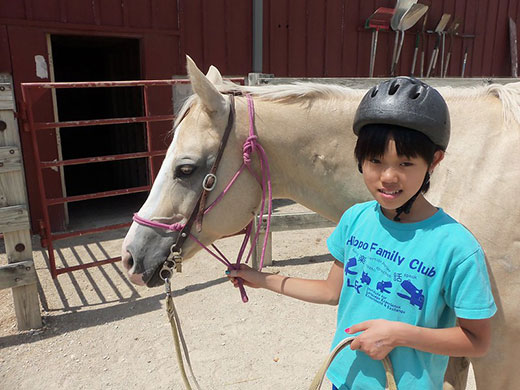 Japanese youth holding white horse by the reins