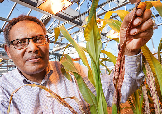 Man holding sorghum leaf and smiling for camera