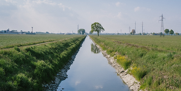Small creek in ditch near crop field Small creek in ditch near crop field