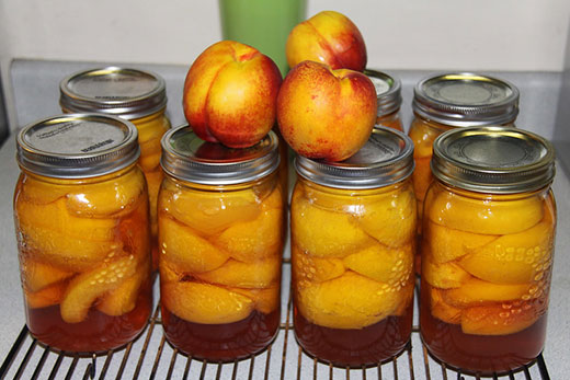 six glass jars, canned nectarines six glass jars, canned nectarines