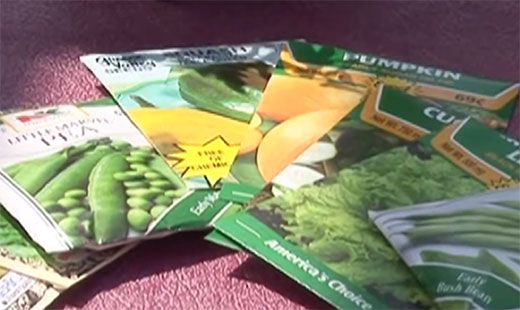 Seed packets laying on a table Seed packets laying on a table