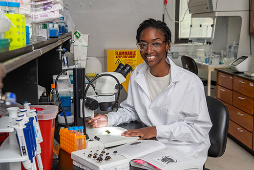giovanni moore sitting in lab, inspecting dung beetle