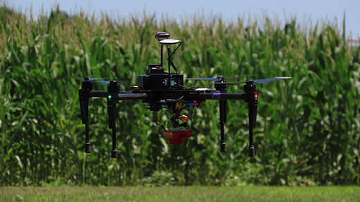 Drone flying in front of Kansas corn field
