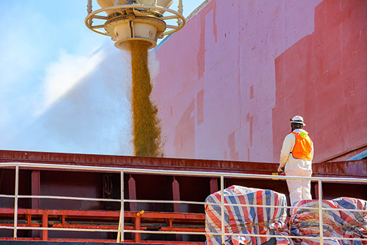 loading grain to elevator, man standing on top of elevator loading grain to elevator, man standing on top of elevator