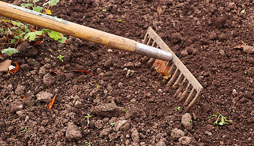 Garden Soil and Rake Garden Soil and Rake