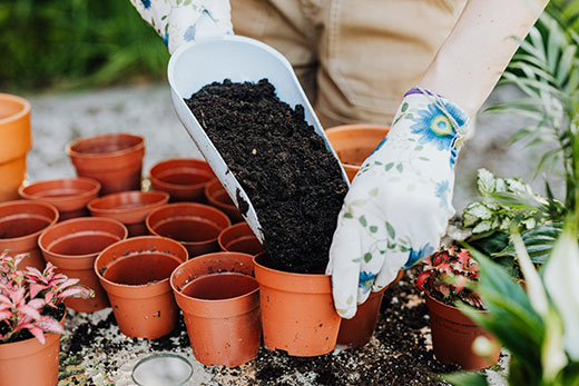 garden shovel putting soil into a ceramic pot