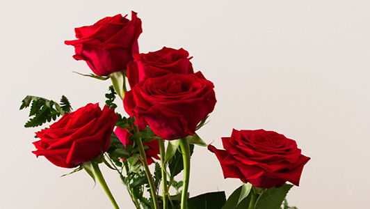 Valentine's Day Roses Valentine's Day Roses