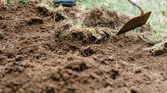 Garden Soil Garden Soil