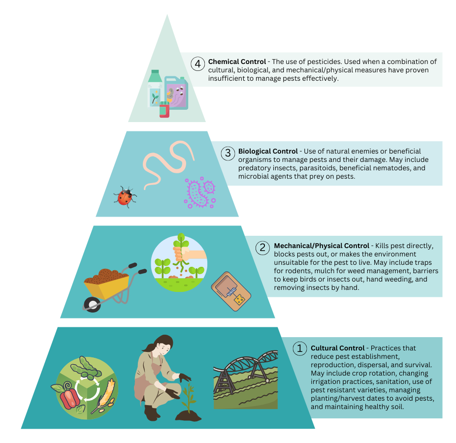 IPM Control graphic IPM Control graphic