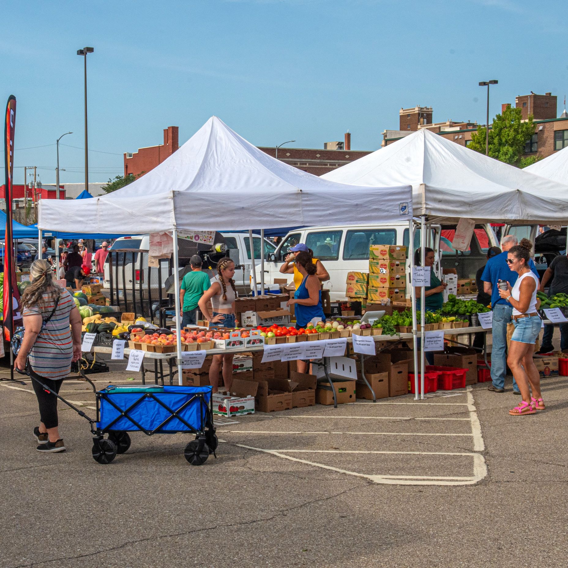 meat-science Meat Science