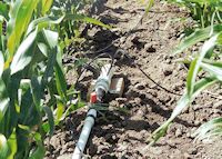 Flow divider used to deliver wastewater to furrow basins for simulated LEPA sprinkler irrigation